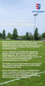 Read more about the article D1 Jahrgang 2012 sucht Verstärkung