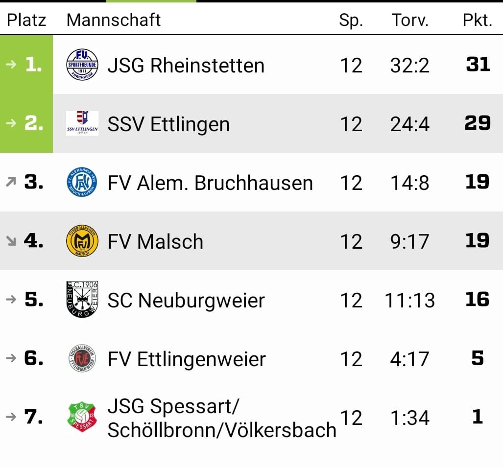 Read more about the article D1 erreicht nächste Runde in der Halle